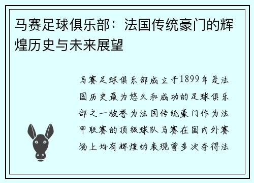 马赛足球俱乐部：法国传统豪门的辉煌历史与未来展望